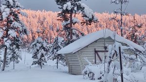 Talvinen luontomaisema lapista. Kuvassa on puinen lato ja tammikuun aurinko suon yllä.